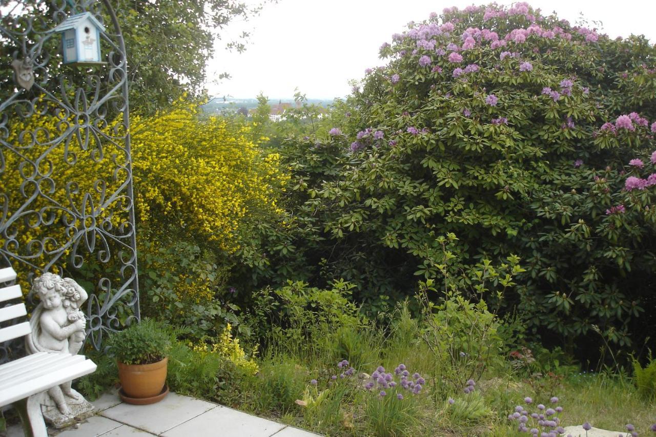 Haus Sonnenwinkel Apartment บาด อิบวร์ก ภายนอก รูปภาพ